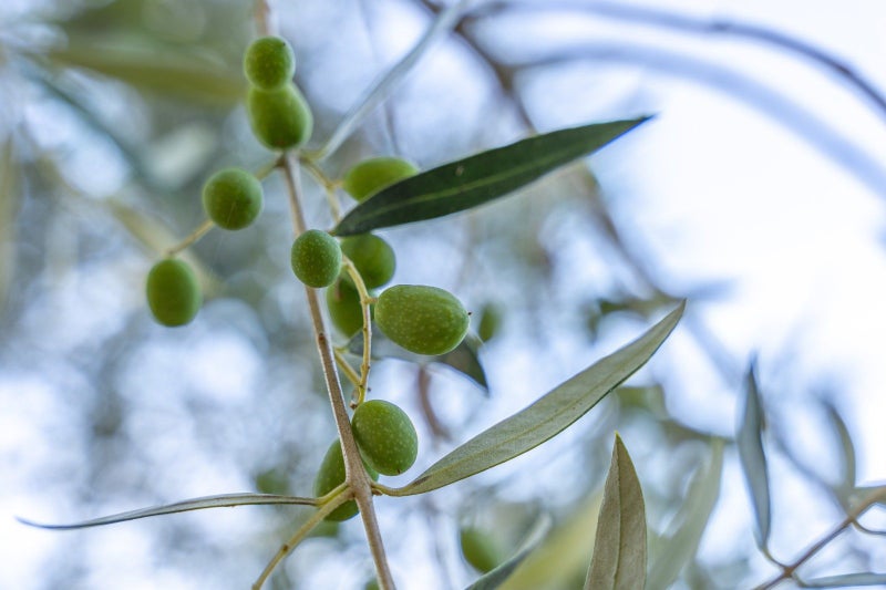 258 Waitohu Valley Road, Otaki - Carousel 2