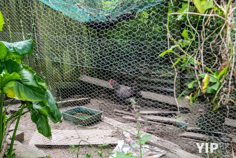 25 Prospect Terrace, Johnsonville, Wellington, Wellington - Carousel 1