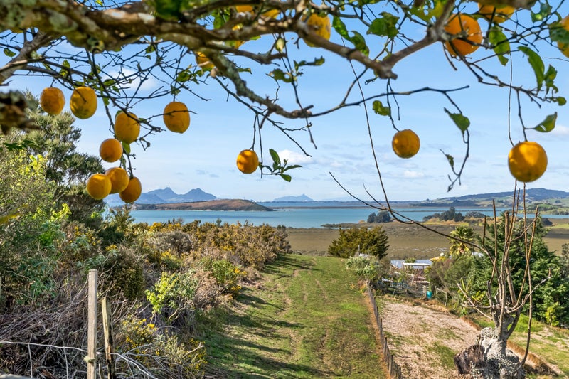 413 State Highway 1, Whangarei - Carousel 21