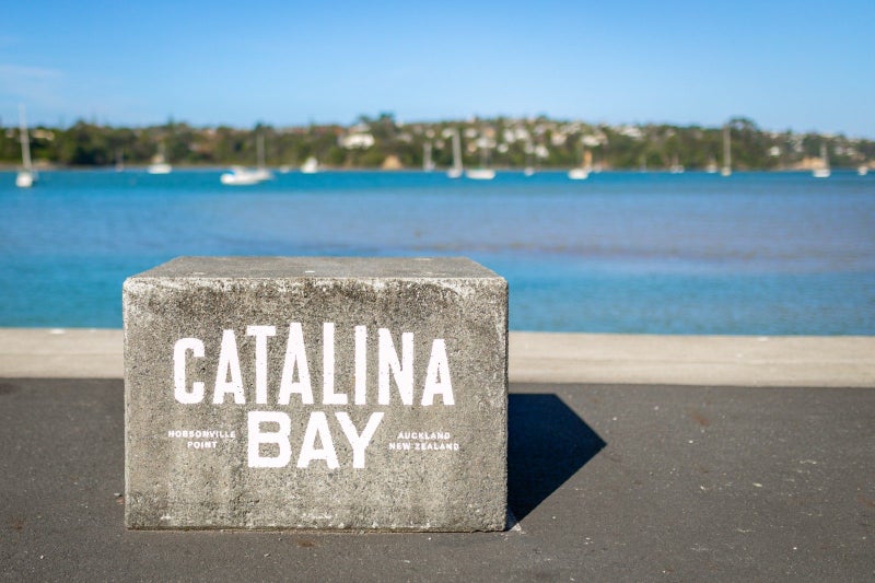 38 Wallace Road, Hobsonville, Auckland - Carousel 28