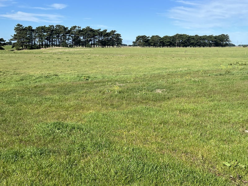 1163 Motu Rimu Road, Motu Rimu, Invercargill - Carousel 8