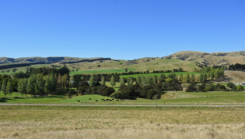752A Ponatahi Road, Martinborough, Carterton - Carousel 15