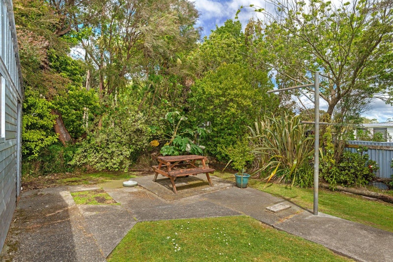 25 Winter Street, Mangapapa, Gisborne - Carousel 16