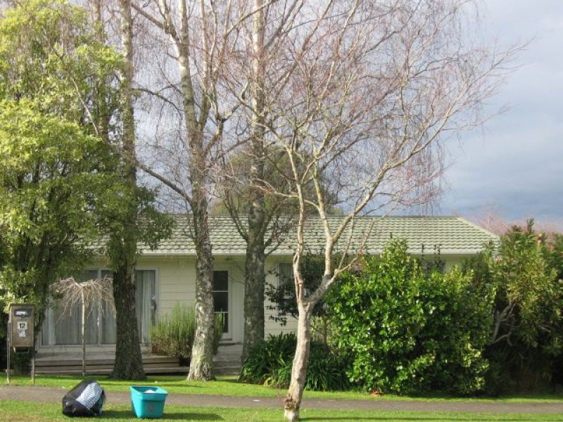 12 Maple Avenue, Dinsdale, Hamilton - Carousel 22