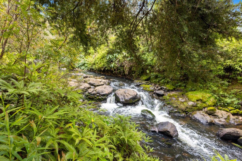 79 Riverstream Drive, Kerikeri - Carousel 32