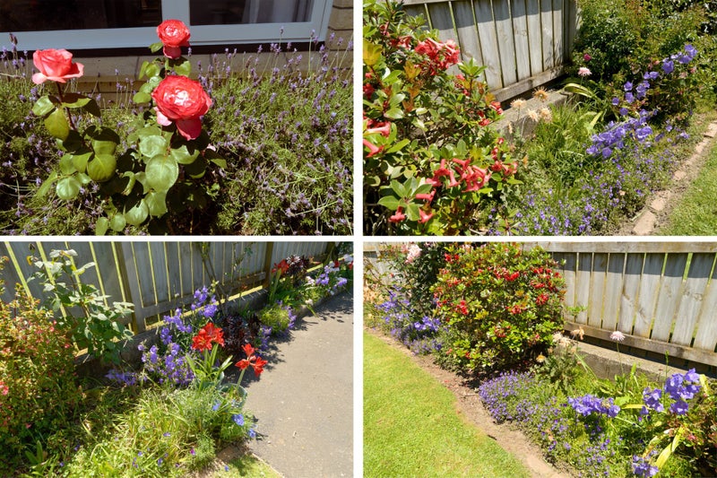 48 Seventeenth Avenue, Tauranga South, Tauranga - Carousel 13