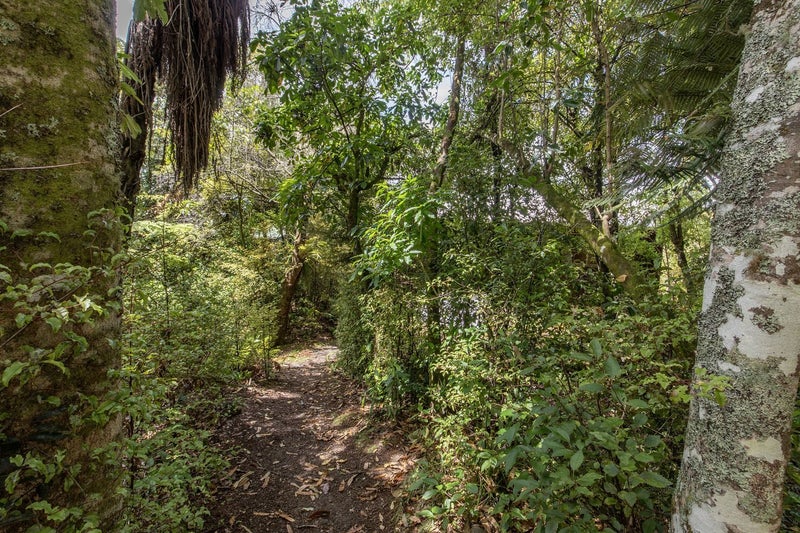 33 Hauraki Terrace, Pukawa, Taupo, Waikato - Carousel 1