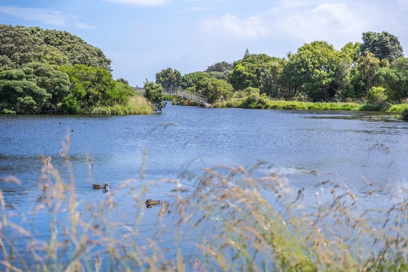 11 Marewa Place, Waikanae Beach, Waikanae - Carousel 20