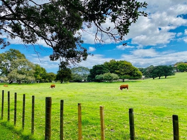 2/139 Campbell Road, One Tree Hill, Auckland - Carousel 16