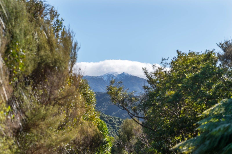 Property Valuation for Lots 1 4, 1235 Mangatarere Valley Road