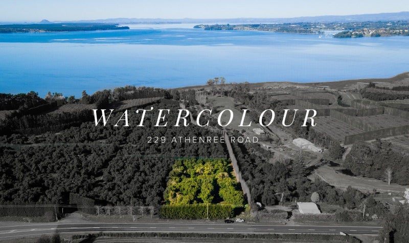 229 Athenree Road, Athenree, Waihi Beach - Carousel 2