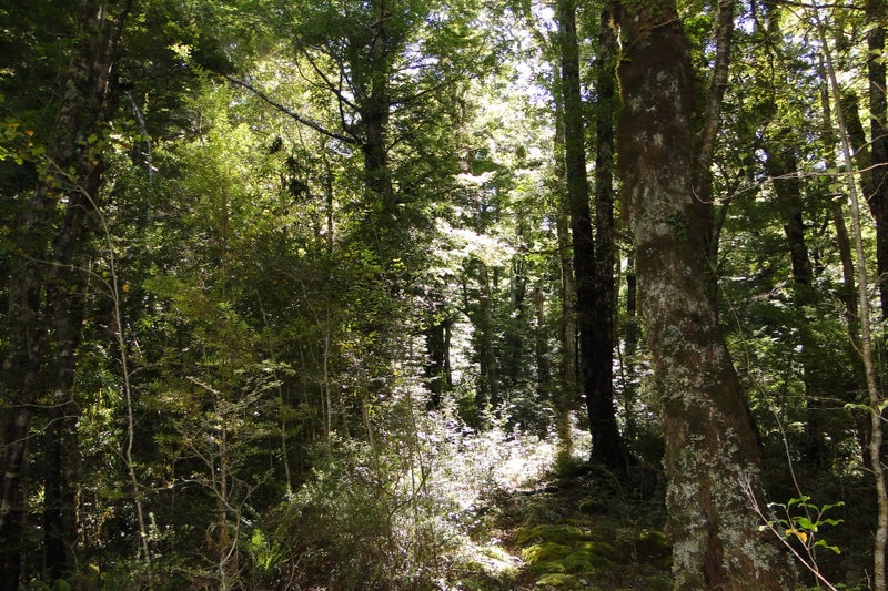 Property Valuation for 60 Bates Road, Takaka Hill Trade Me Property Trade Me Property