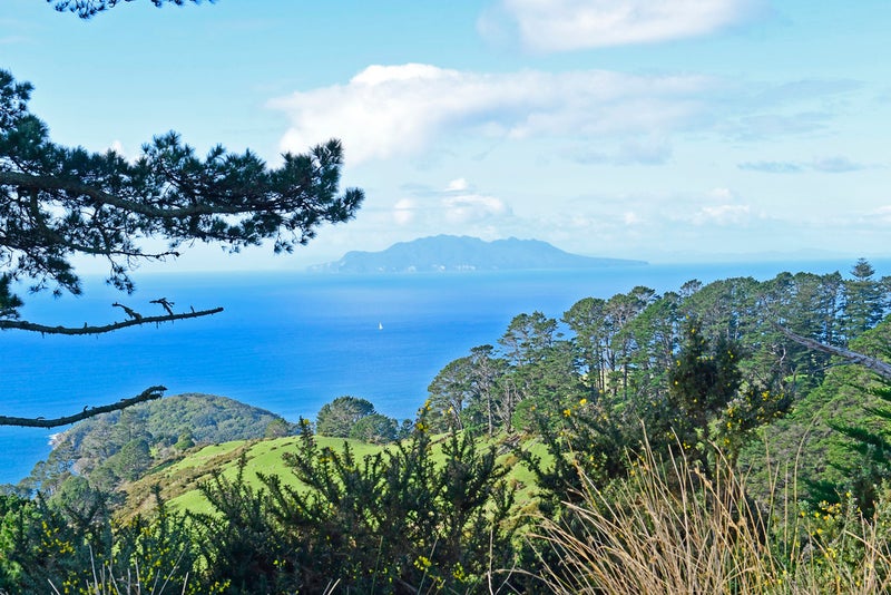 21 J Greenwood Road, Warkworth - Carousel 1