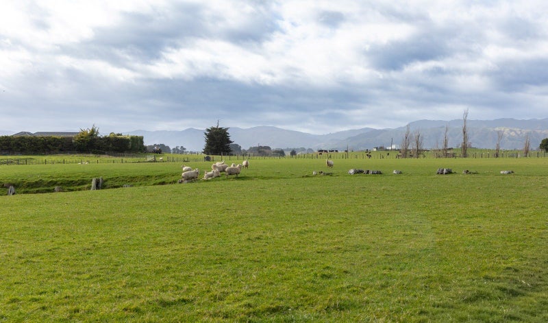 234 Kukutauaki Road, Koputaroa, Shannon - Carousel 1