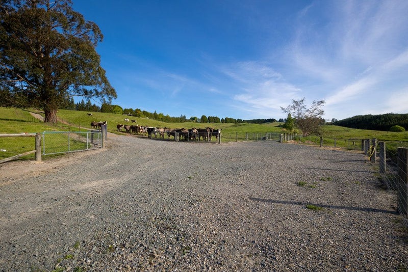 182 Malling Road, Redwood Valley, Richmond - Carousel 50