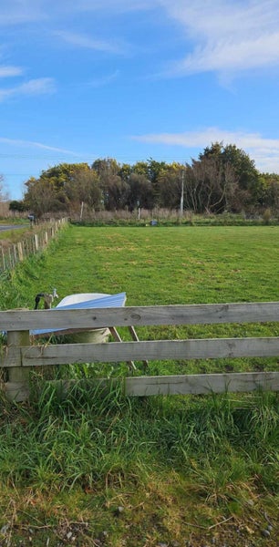 7 Mahua Road, Feilding, Feilding - Carousel 2