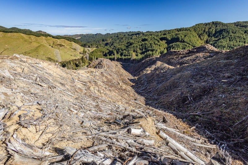 0 Oio Rd, Owhango - Carousel 14