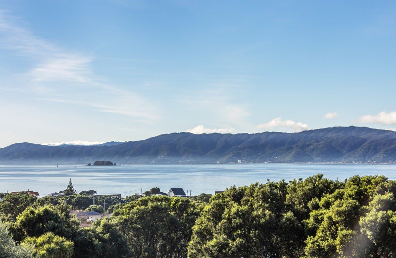 74 Falkirk Avenue, Seatoun, Wellington - Carousel 2