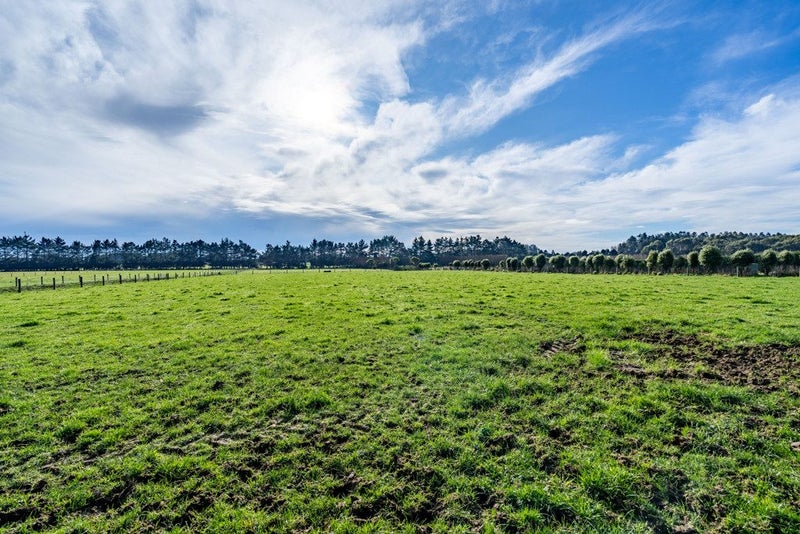 118 Moore Road, Lorneville, Invercargill - Carousel 27