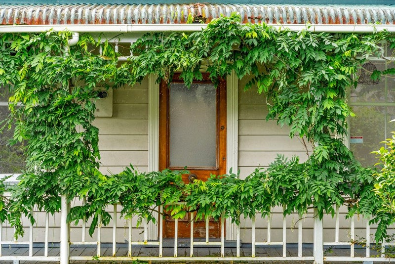 62 King Street, Kingsland, Auckland - Carousel 1