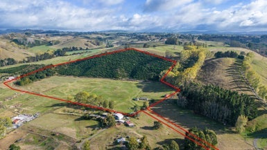 201 State Highway 5, Taupo - Carousel 1