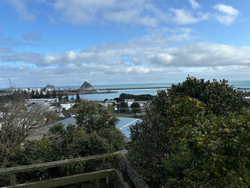 11 South Road, Moturoa, New Plymouth, Taranaki - Carousel 6