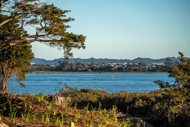 Lot 136/4 Scott Road, Hobsonville, Waitakere City, Auckland - Carousel 24