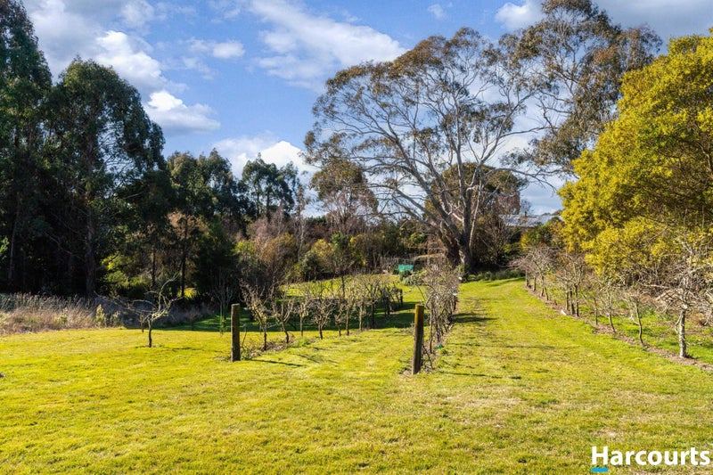 367 The Coastal Highway, Redwood Valley, Richmond - Carousel 41