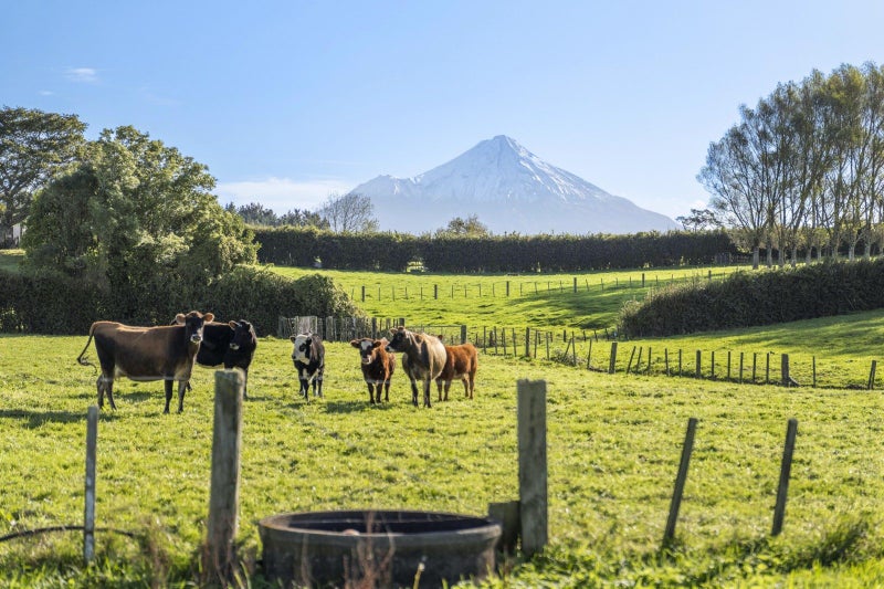 241 Warwick Road, Stratford - Carousel 1