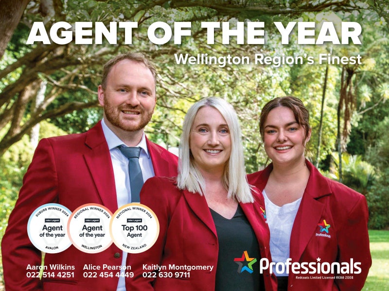 299A Oxford Terrace, Avalon, Lower Hutt - Carousel 24