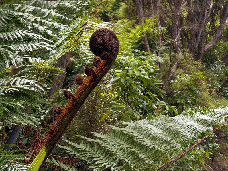 0 Kenepuru Head, Kenepuru Head, MARLBOROUGH SOUNDS - Carousel 15