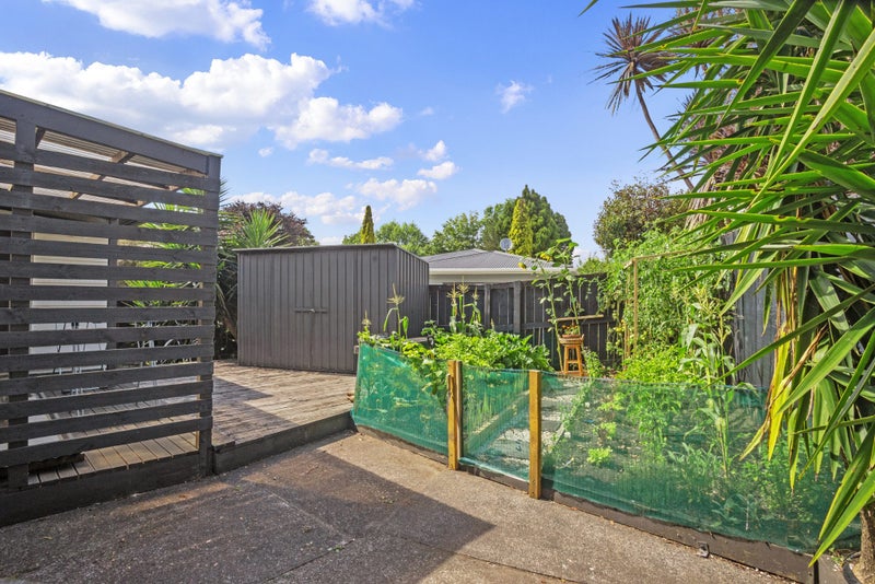 22 Mackay Street, Waihi, Waihi - Carousel 13