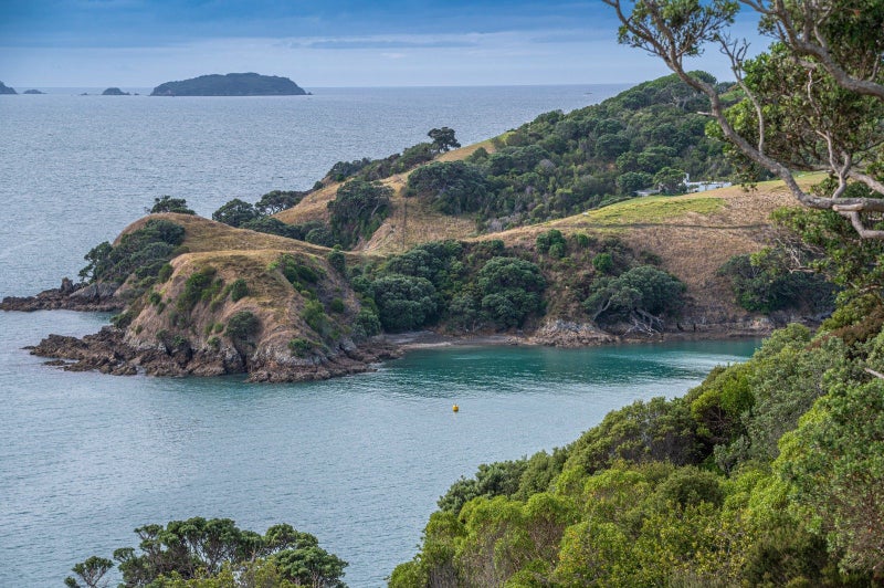 155 Nick Johnstone Drive, Waiheke Island, Waiheke Island - Carousel 2
