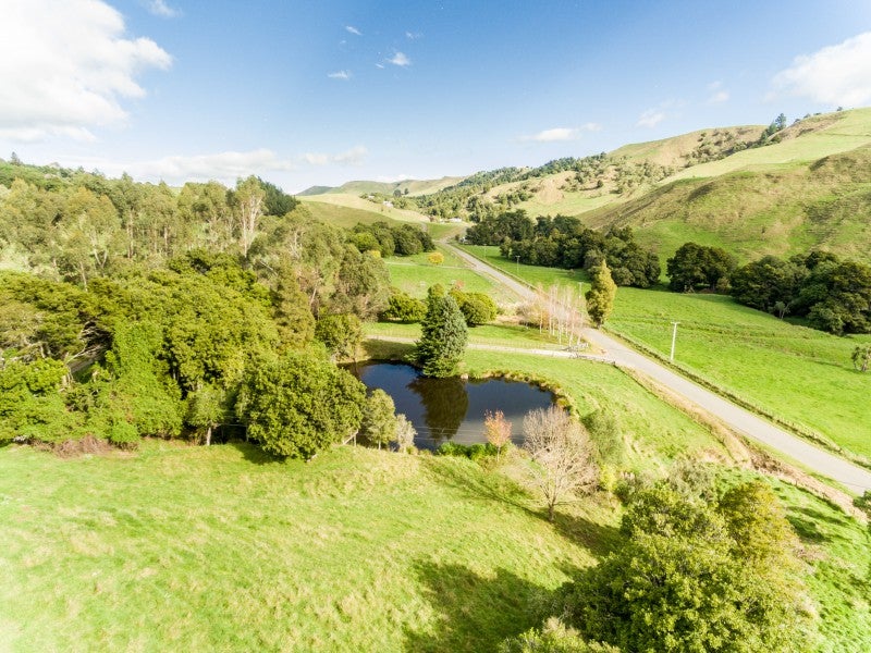 445 Anaroa Road, Raukawa, Hastings - Carousel 20