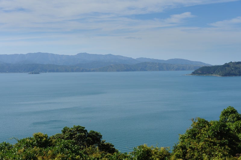 92A Homebush Road, Khandallah, Wellington - Carousel 2