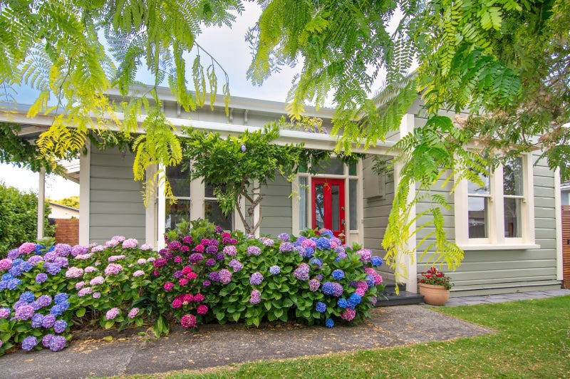 24 Alfred Street, Roslyn, Palmerston North - Carousel 22