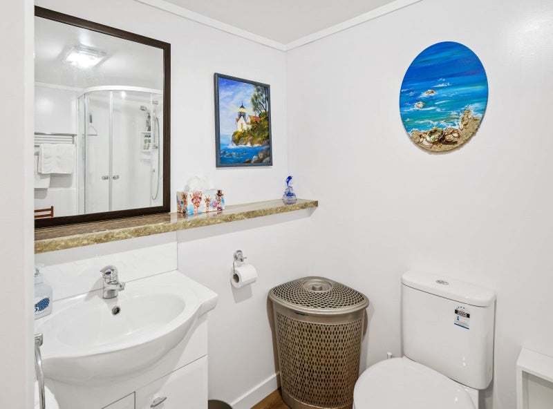 59 Britannia Heights, Stepneyville, Nelson - Carousel 17