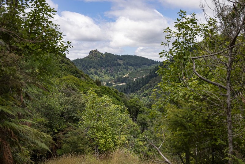 144 Graham Valley North Branch Road, Motueka Valley, Motueka - Carousel 35