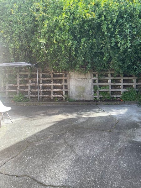 462 Evans Bay Parade, Hataitai, Wellington - Carousel 11