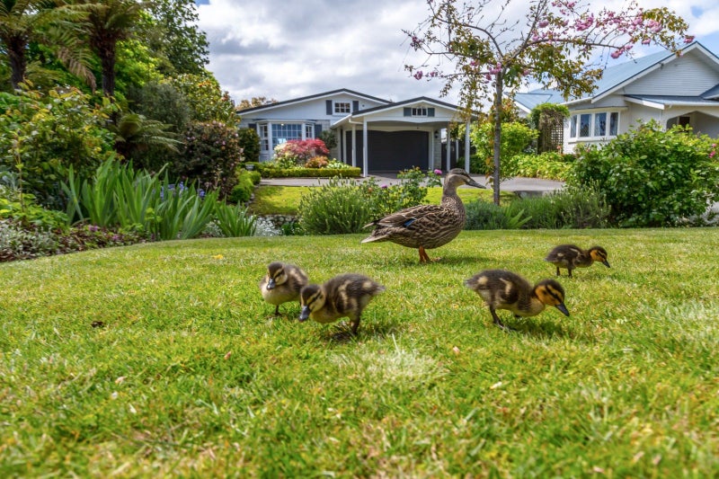 32 Essex Street, Masterton - Carousel 2