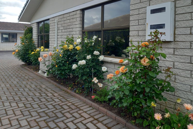 152A Ranolf Street, Glenholme, Rotorua - Carousel 17