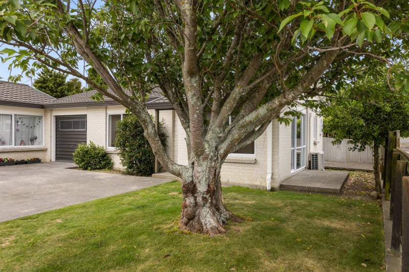 1/1400 Woodstock Avenue, Mayfair, Hastings - Carousel 11