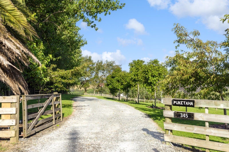 345 Green Road, Warkworth - Carousel 2