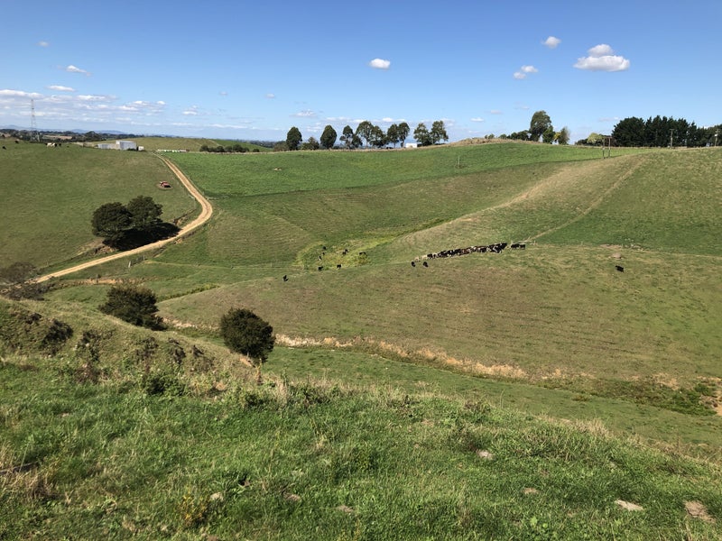 35 Grove Access Road, Karamu - Carousel 35