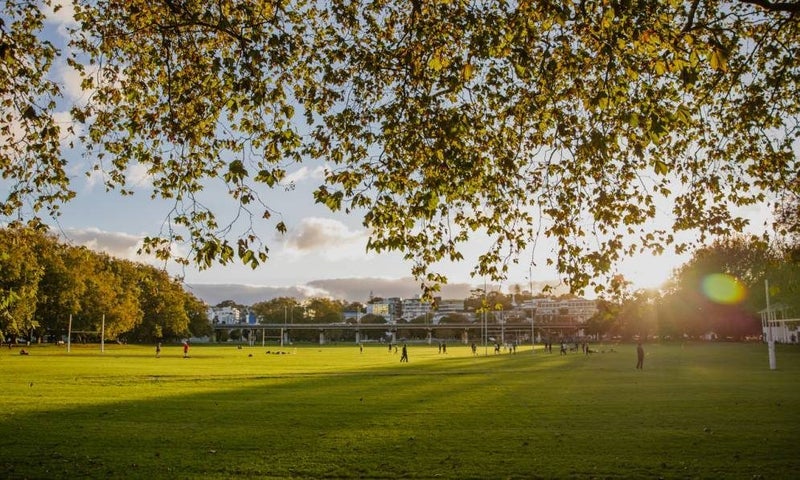 9D/15 Whitaker Place, Grafton, Auckland - Carousel 13