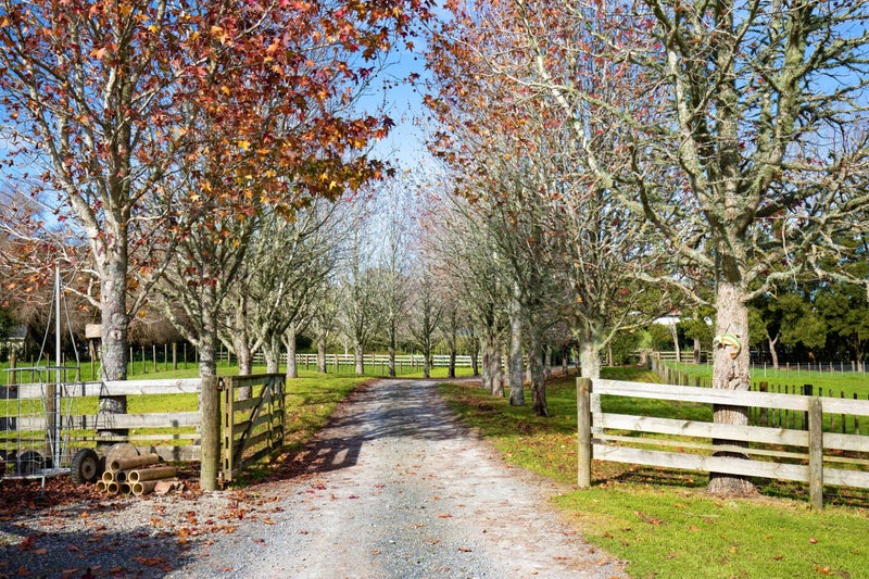 Property Valuation for 31 Ward Road, Matakana Trade Me Property