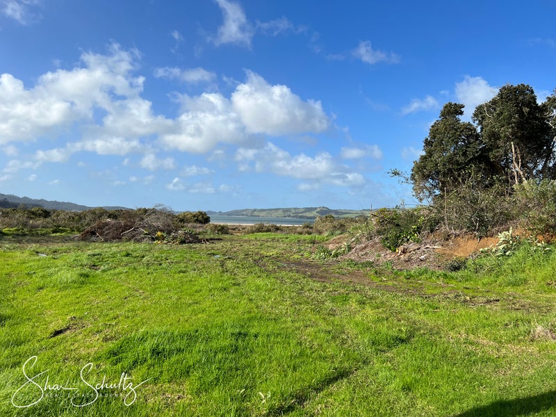 Property Valuation for 99 Komiti Road, Tinopai Trade Me Property