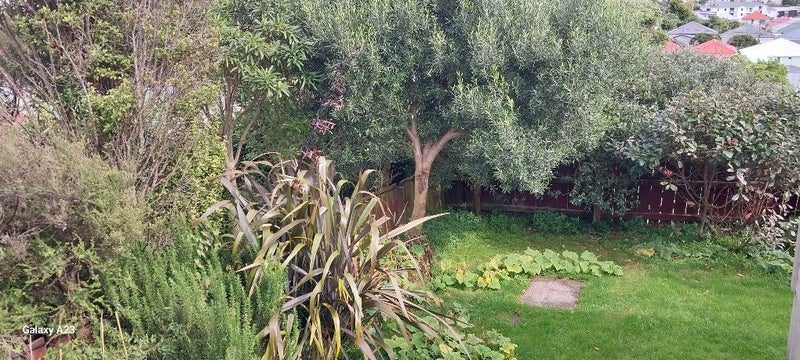 5 Herald Terrace, Berhampore, Wellington - Carousel 10