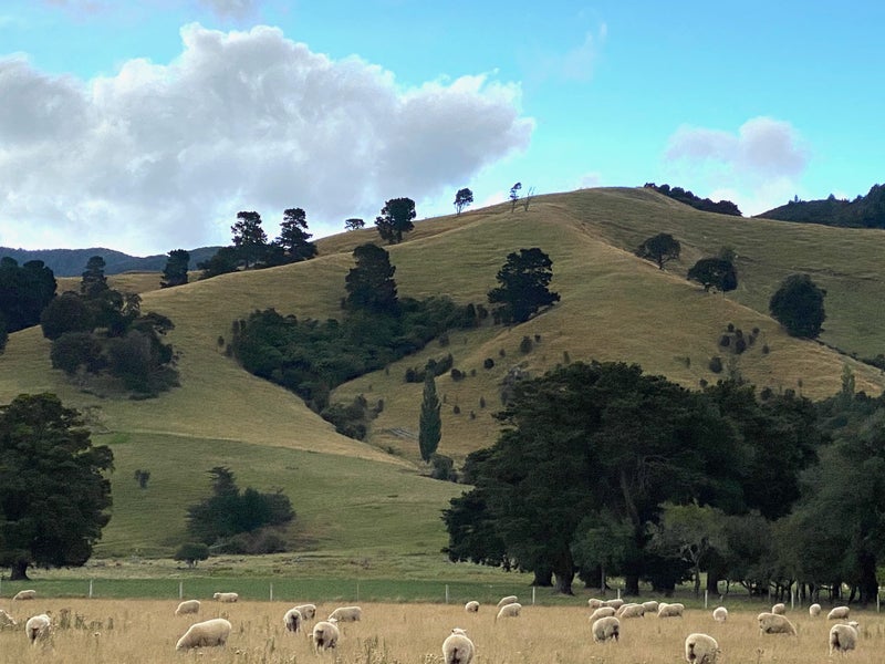 194 Underhill Road, Woodside, Greytown - Carousel 38