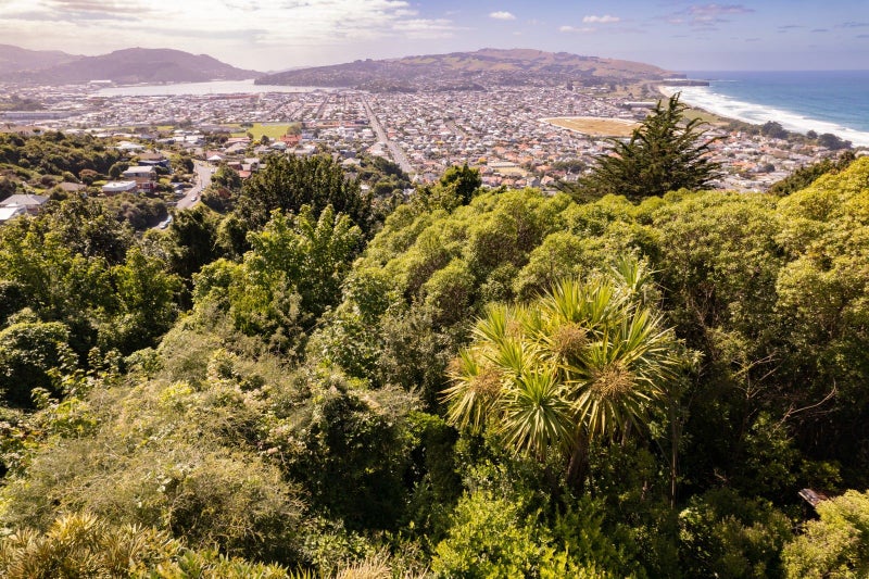 54A Earls Road, Saint Clair, Dunedin - Carousel 1